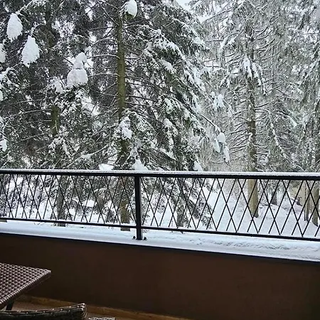 Masa Spa&wellness Appart hôtel